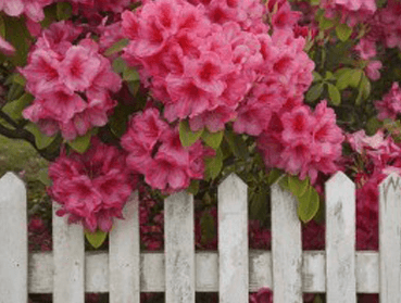 Choosing The Right Fence For Your Home