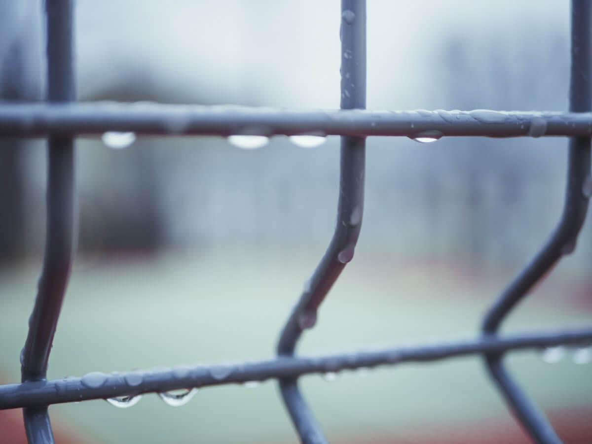 The Best Fencing for Bad Weather