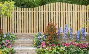 Wooden Backyard Fence
